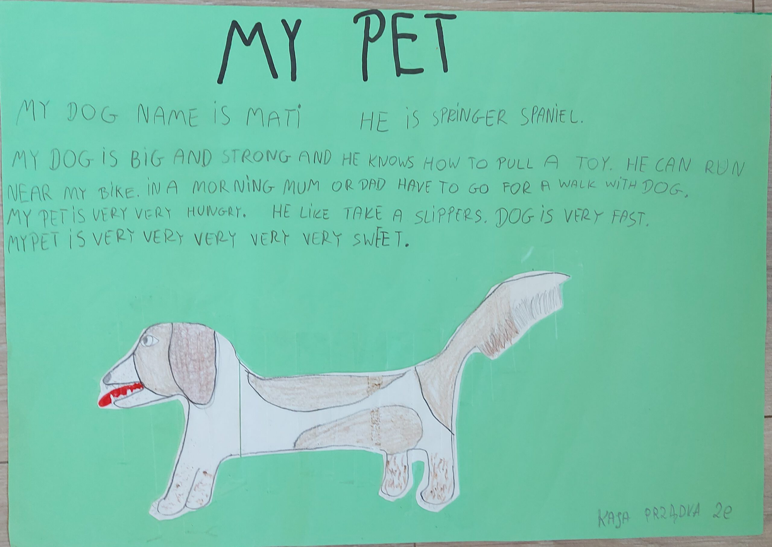 My Pet – konkurs dla klas I, II, III