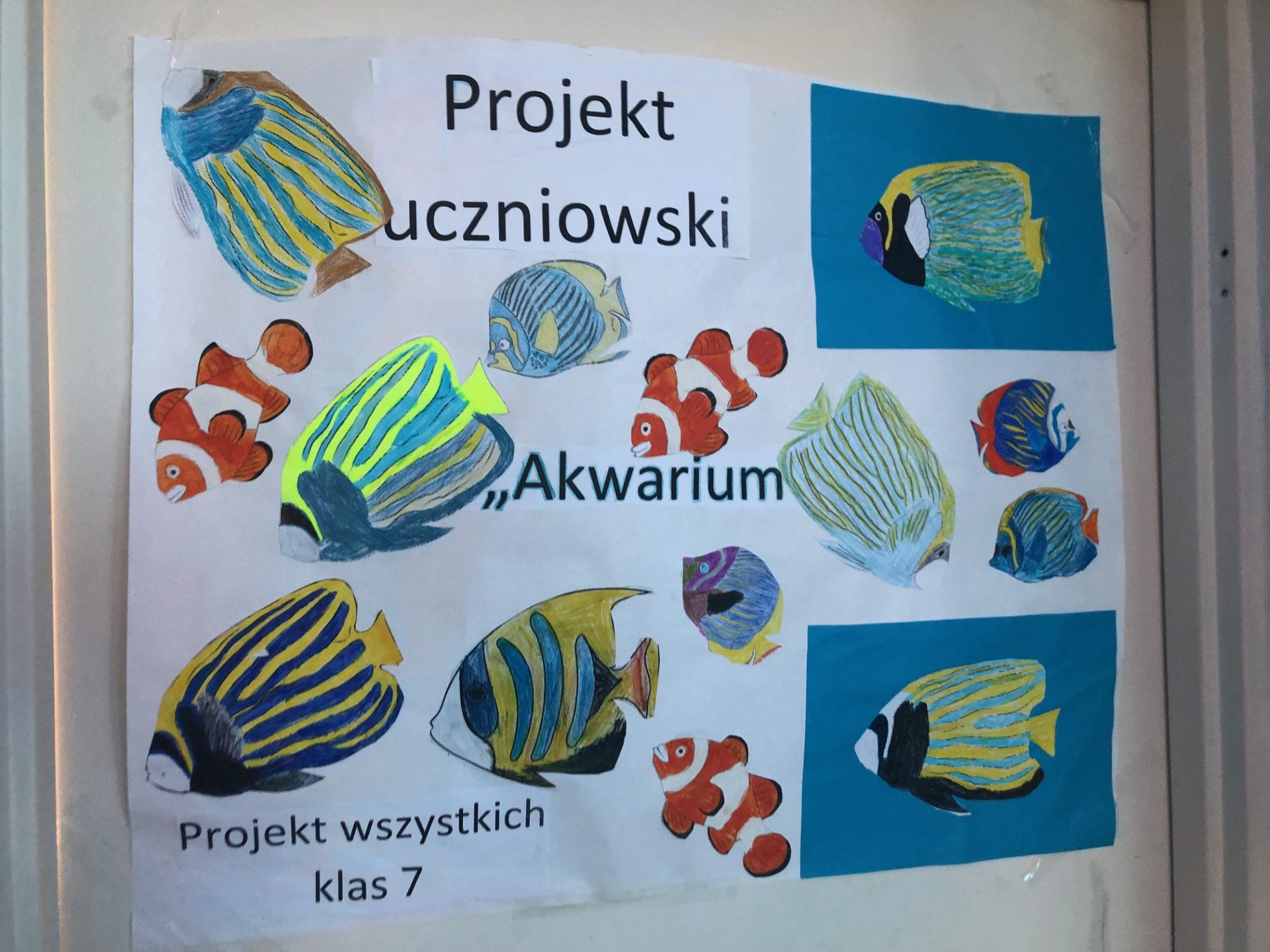 W klasie jak w Akwarium – projekt realizowany przez uczniów klas 7