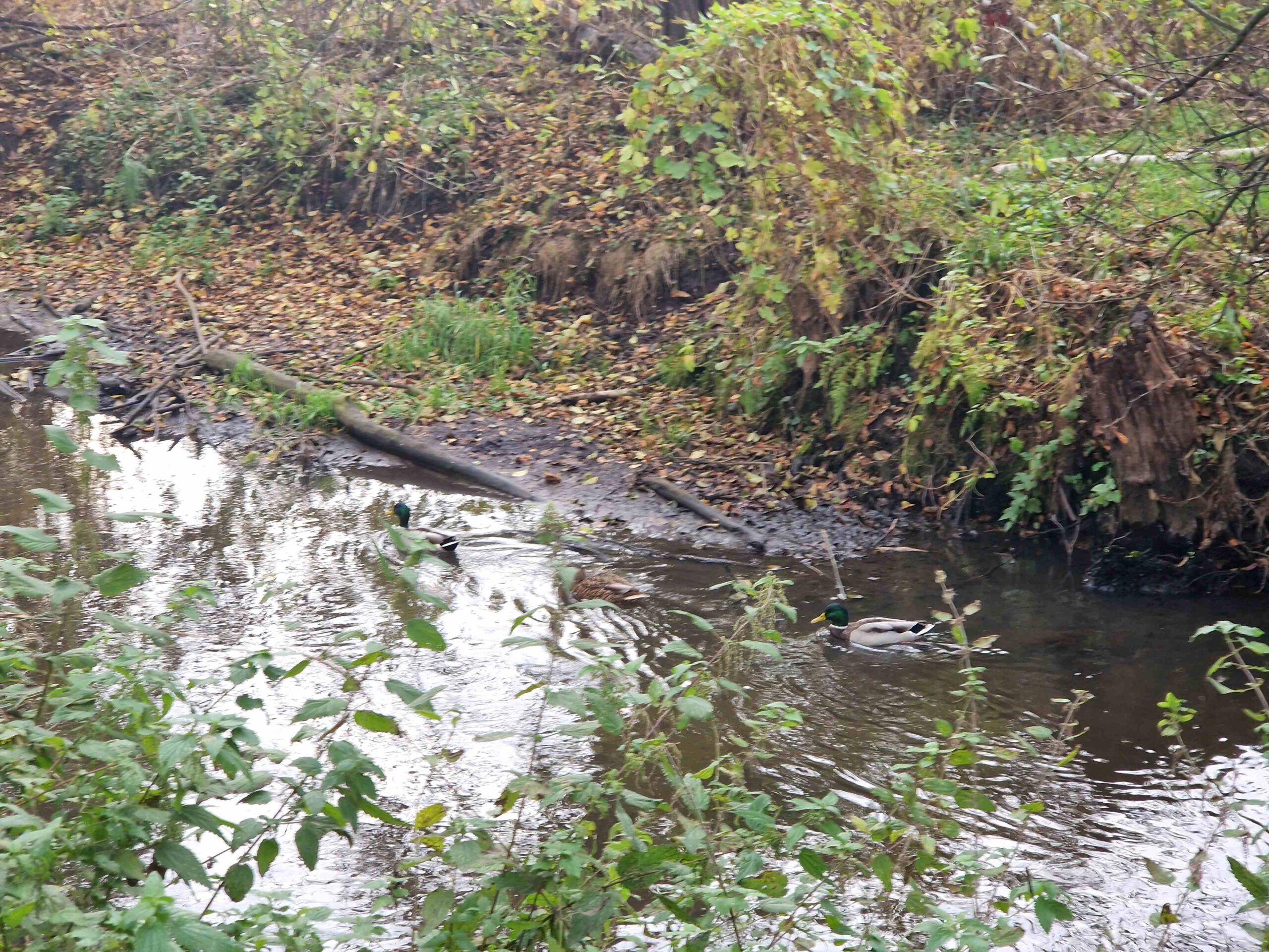 Lekcja przyrody w terenie.