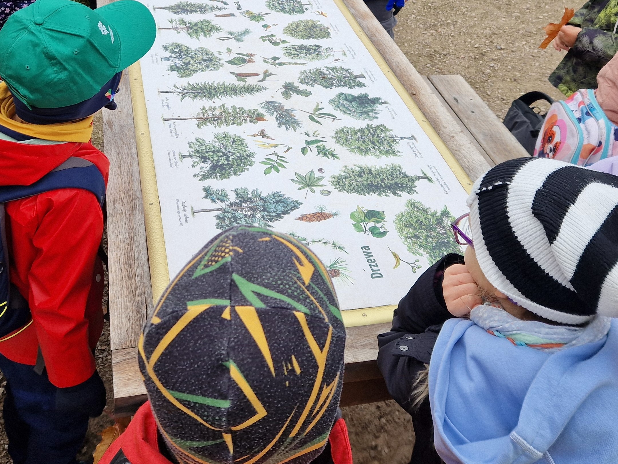 Lekcja przyrody w terenie.