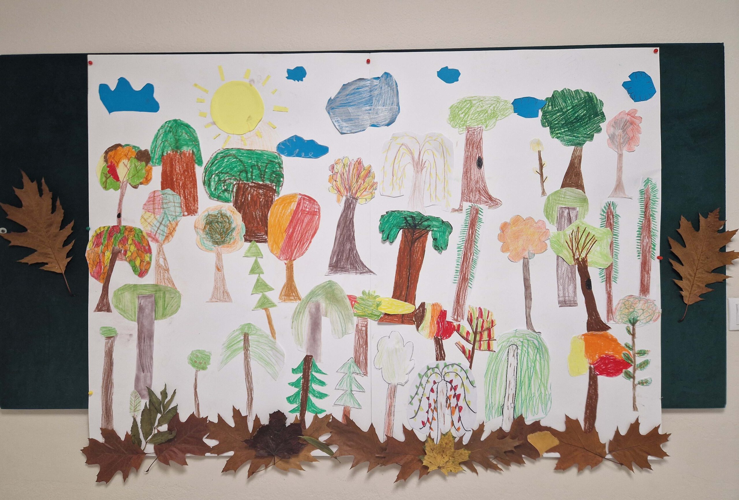 Lekcja przyrody w terenie.