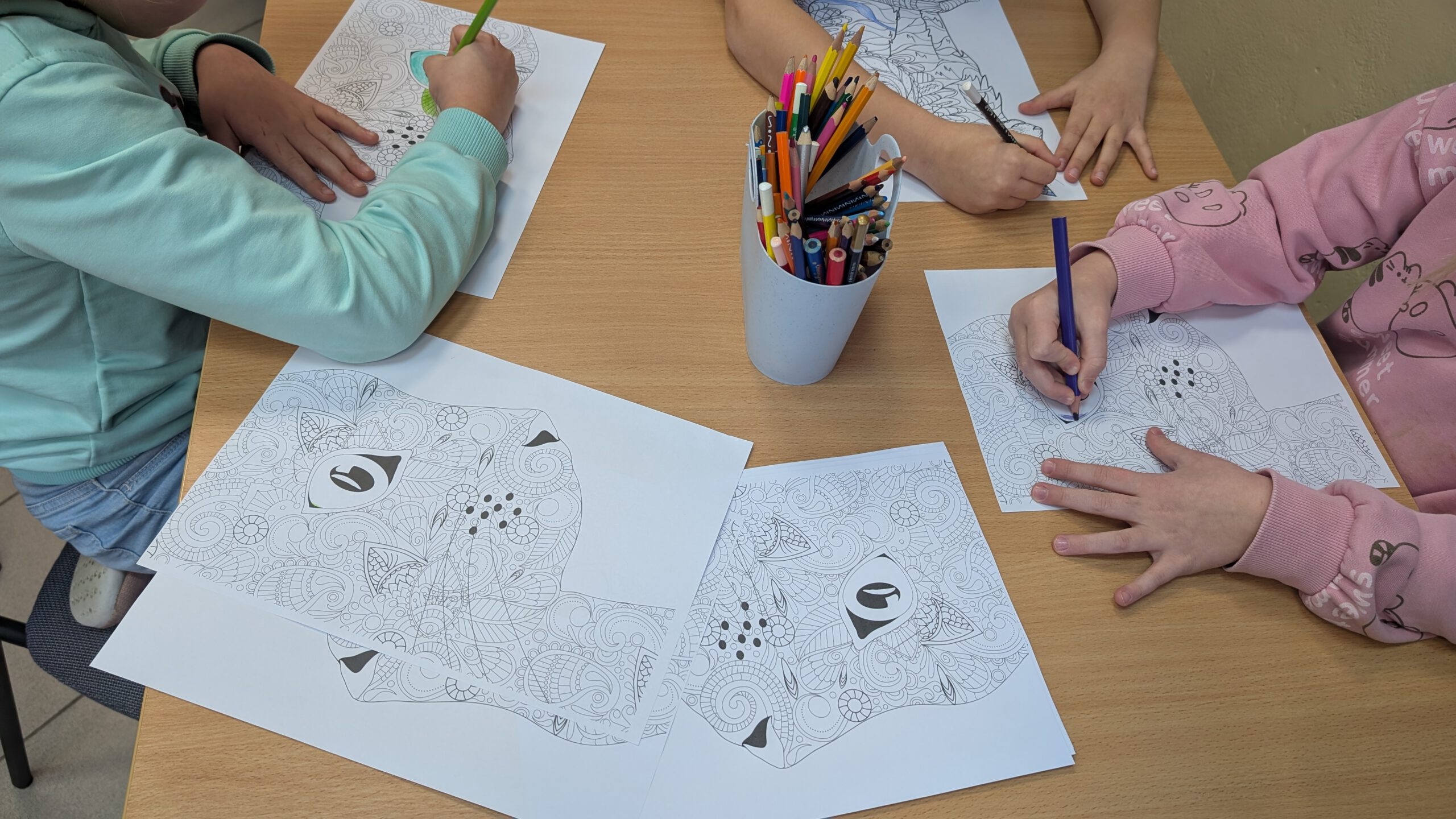 Tajemnica Czarnego Kota w bibliotece szkolnej