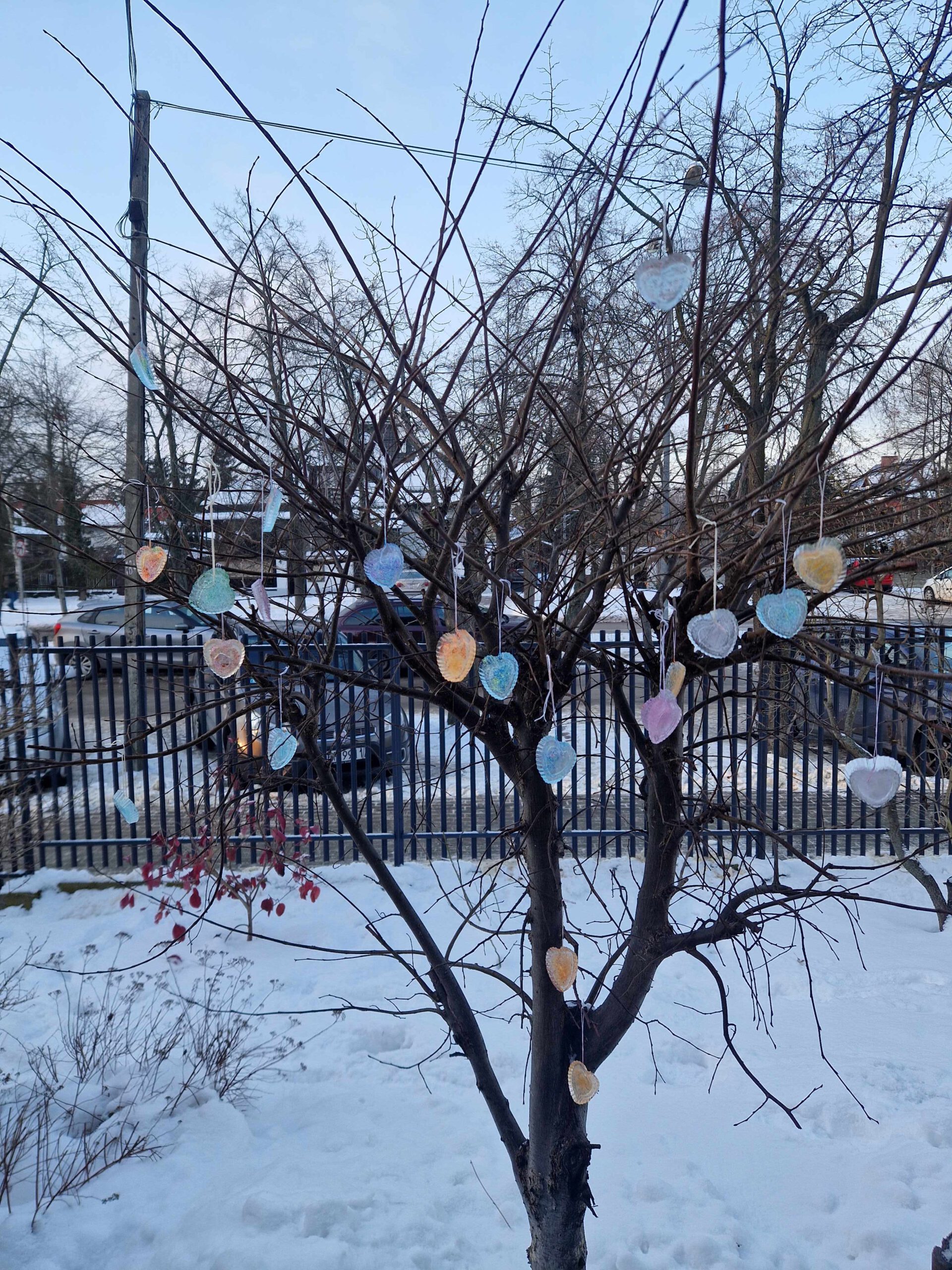 Zimowe obserwacje w klasie 1c