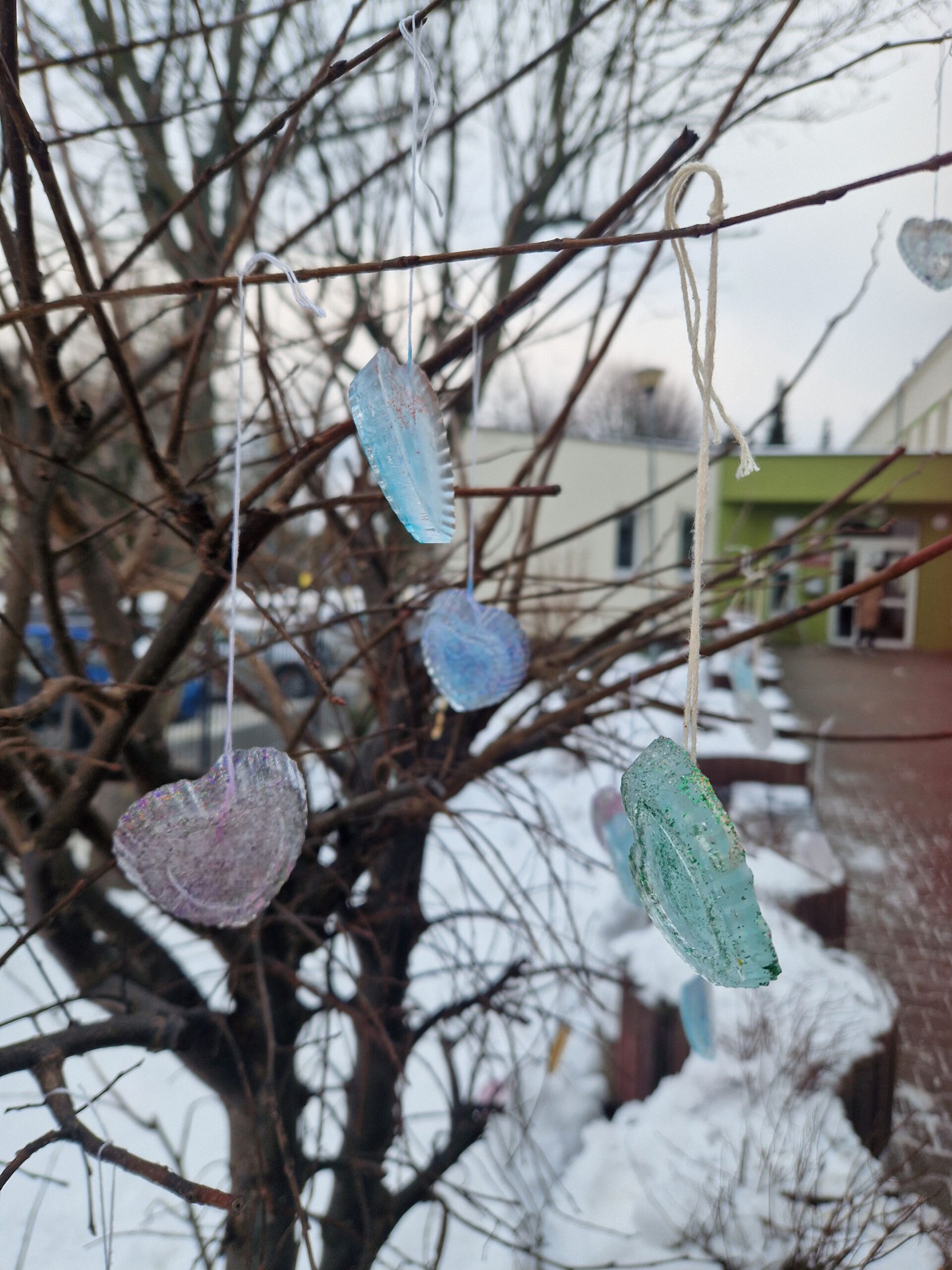 Zimowe obserwacje w klasie 1c