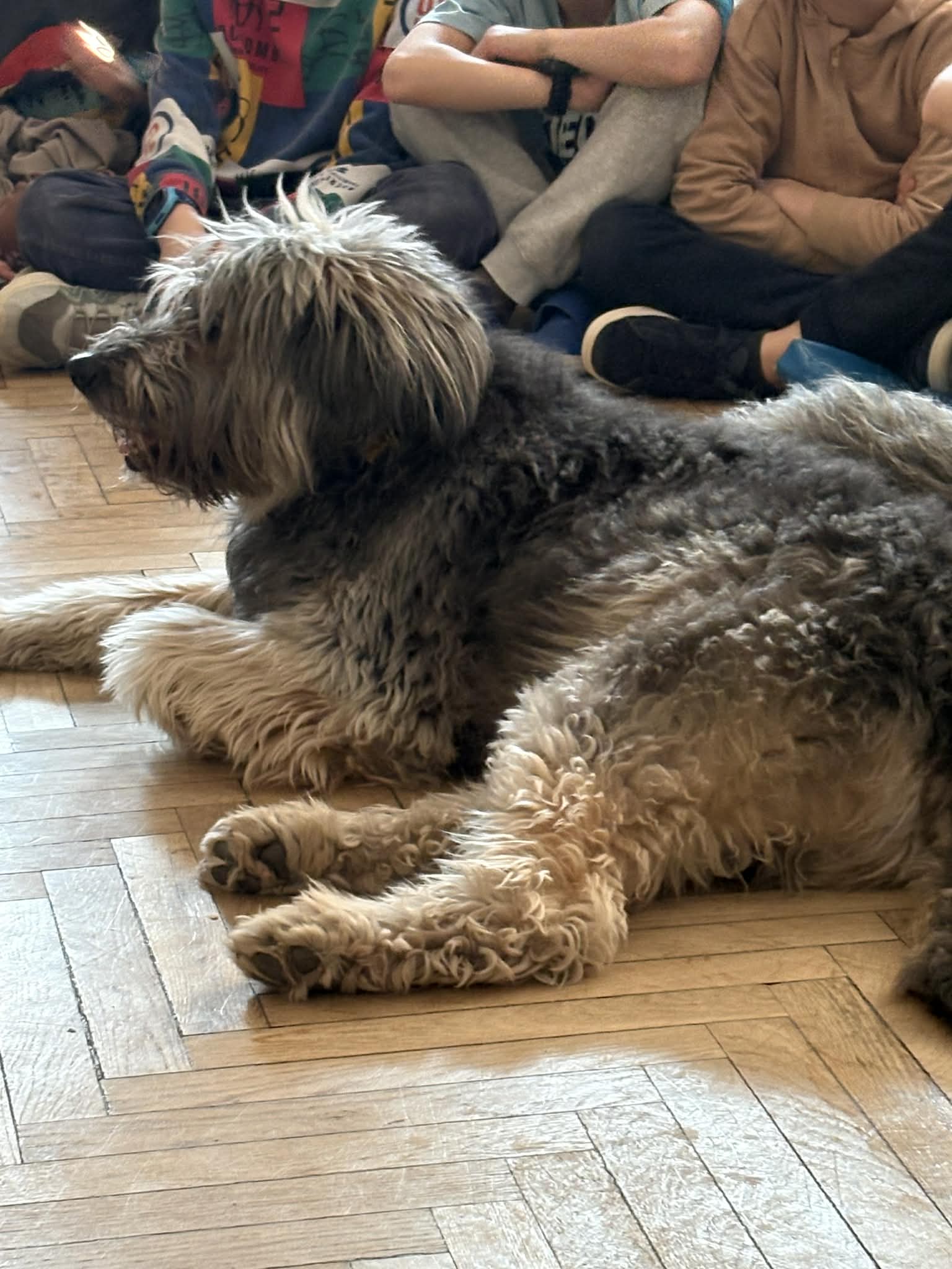 Spotkanie z Margo i Hamletem 🐕🐩