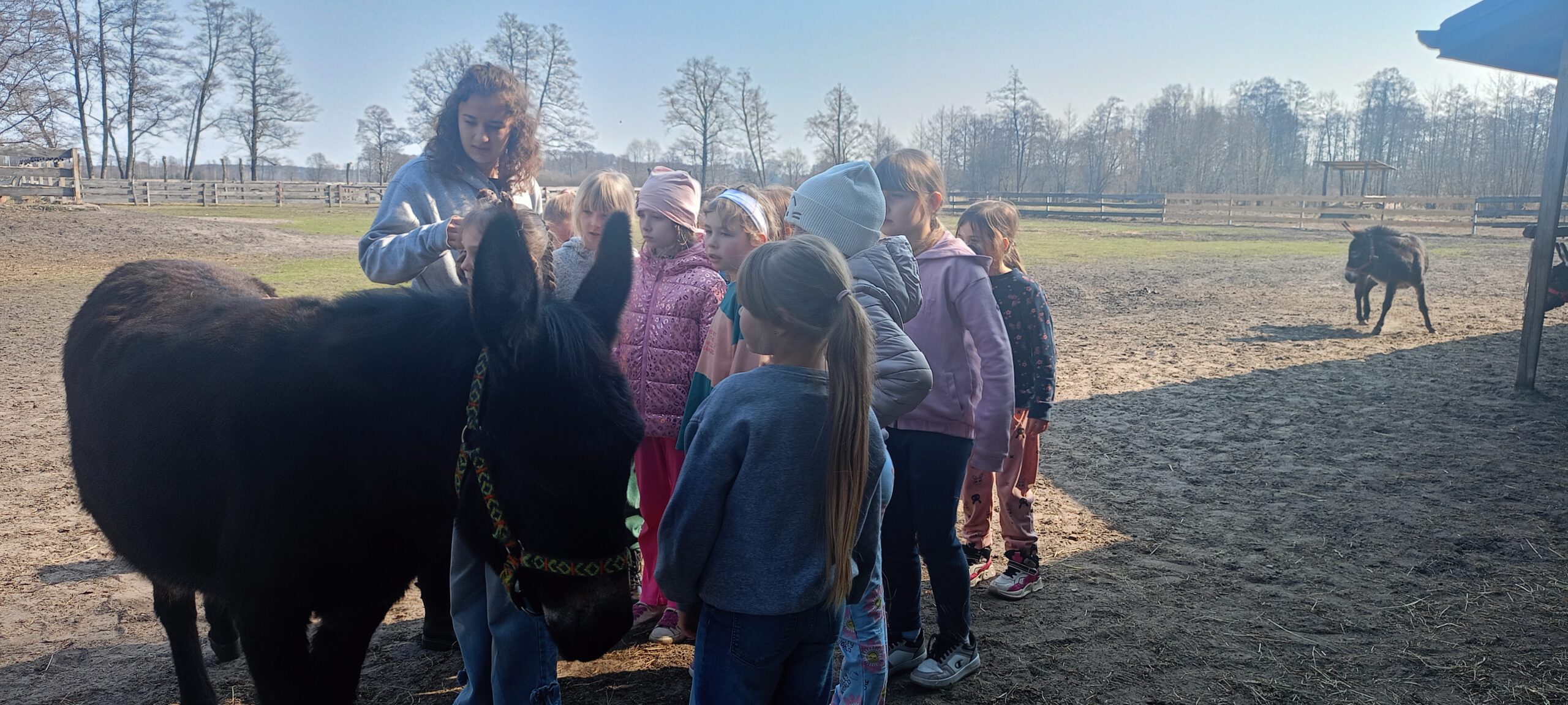 Wycieczka klas pierwszych do gospodarstwa edukacyjnego “Cuda Wianki”