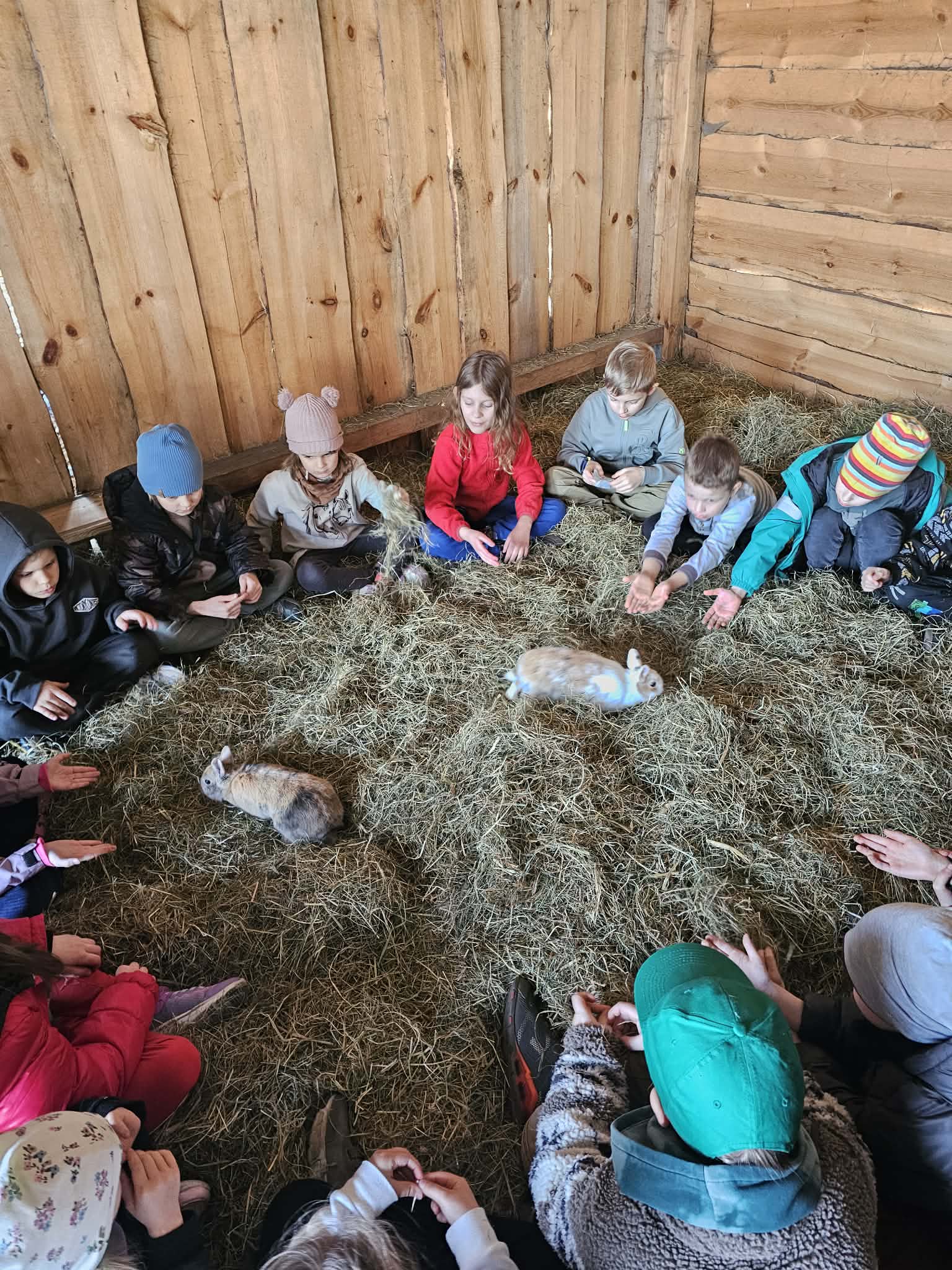 Wycieczka klas pierwszych do gospodarstwa edukacyjnego “Cuda Wianki”